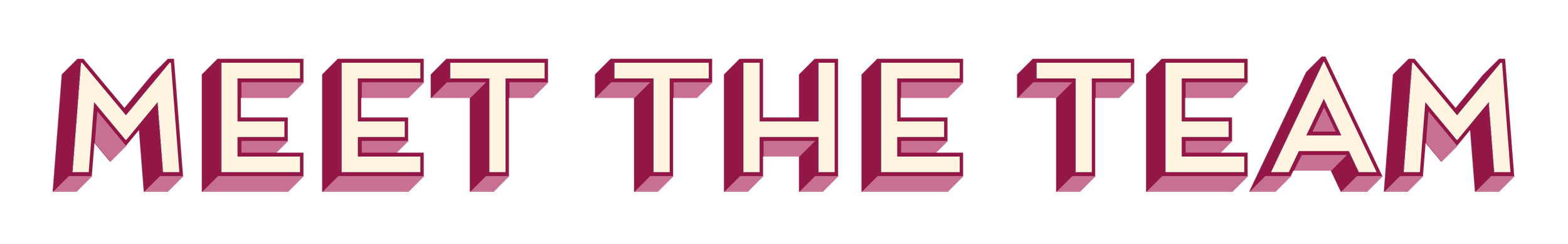 Meet The Team